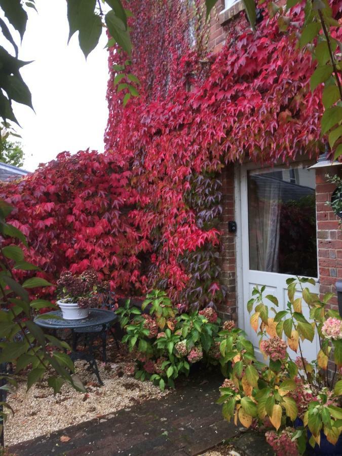 브로드초크 The Dovecote, Stoke Farthing Courtyard 빌라 외부 사진